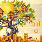 The Wealth Optimizer: Maximizing Returns, Minimizing Fees